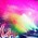 Colors On Tour