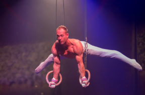 Yuri van Gelder