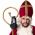 Party Sint