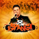 Harm Spang