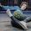 Freestyler Josh