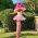 Rstilts